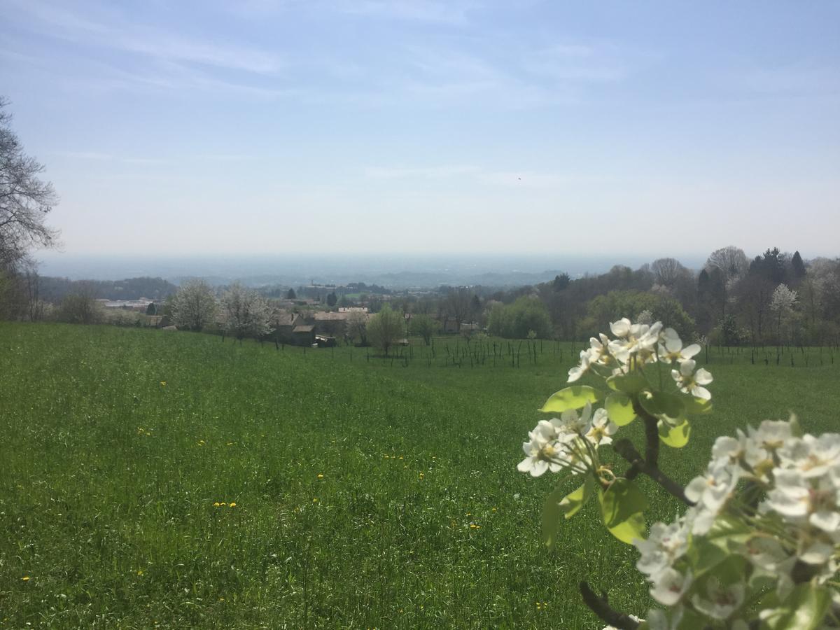 Boccaor Daire Paderno del Grappa Dış mekan fotoğraf